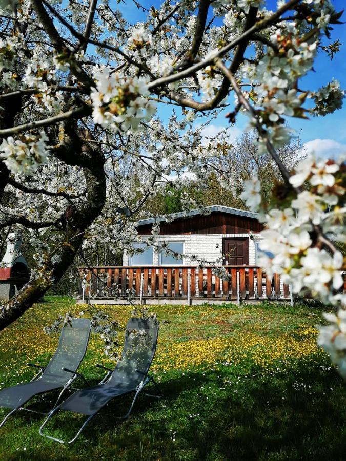 Ferienhaus Chiara, Suedharz, Harztor Ilfeld Exteriér fotografie